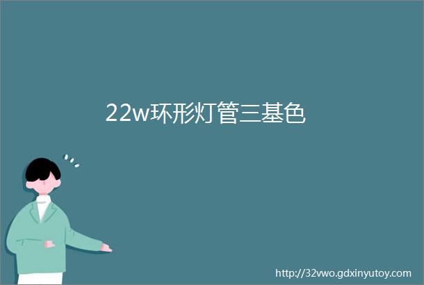 22w环形灯管三基色